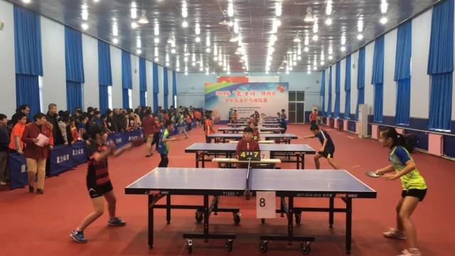 在她的职业 在她的职业