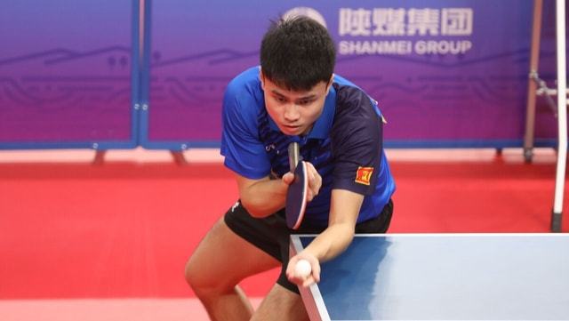 的球迷基础 的球迷基础